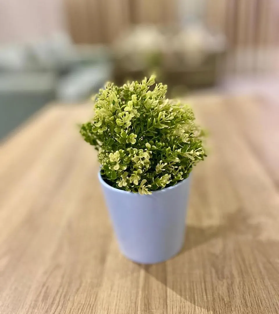 Tu Jardin Al Marwa- توجاردن المروه Hotel Jeddah
